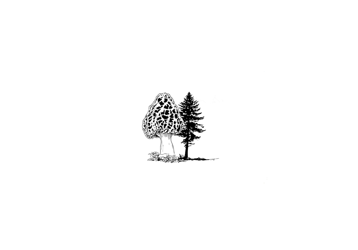 Morel Mushroom & Pine Tree Throw Pillow | Ink Forest Foraging Decorative Pillow | Nature Lover Gift